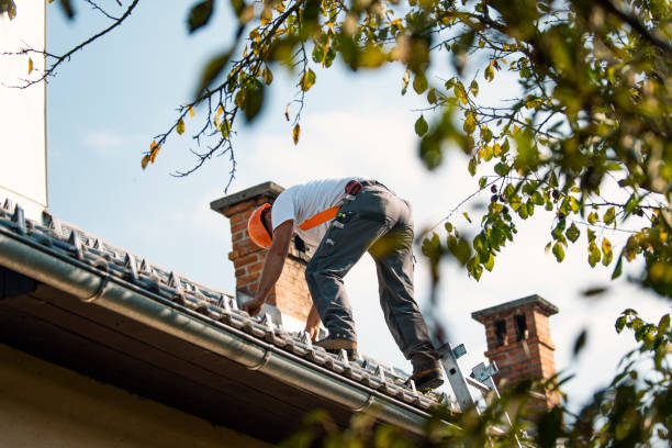 Best Roof Gutter Cleaning  in Cienegas Terrace, TX